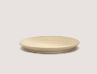 Flying Saucer