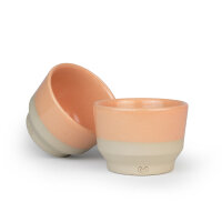 Peach Lotus190 - [REFERENCE collection]